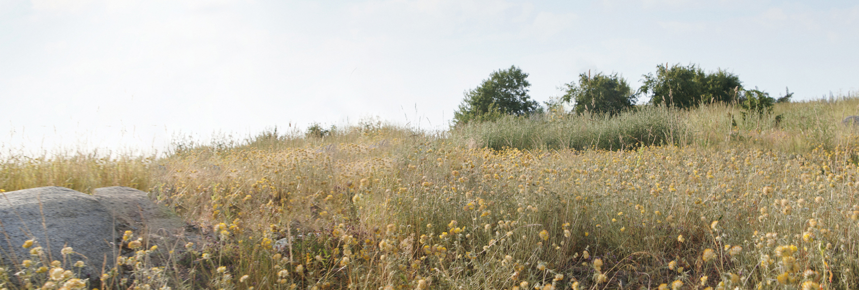 Reima с детьми