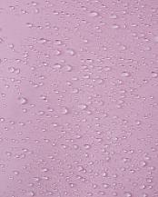 5100053A-4250_5