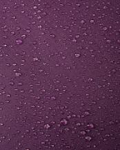 5100156E-4960_5