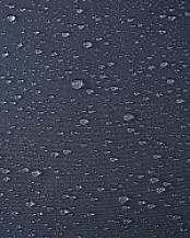 5100281A-9780_11
